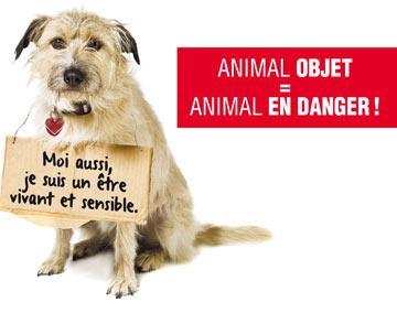 STOP à la torture animale STOP à la torture animale