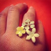 Sur le Ring : Round 1