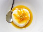 douceur dans monde brutes...