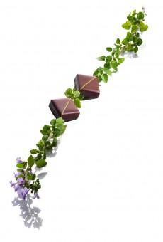 La Maison du Chocolat 230x340