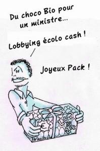 L'écologie, elle aussi, a besoin de lobbyists, capables de convaincre nos 