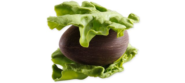 Oeuf en chocolat noir 68% avec décor salade en chocolat vert, garni de fritures et chocolats fourrés de Pâques noir et lait