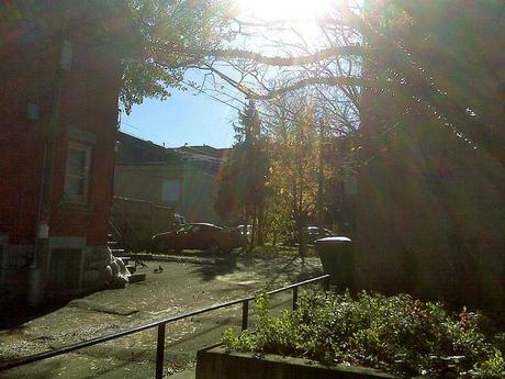 Journal d'un Claudiquant Dillettante à Temps Partiel