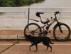 À bicyclette !
