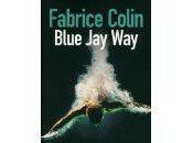 Blue Fabrice COLIN