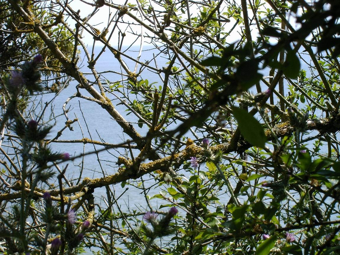 l'avance saline des souvenirs
