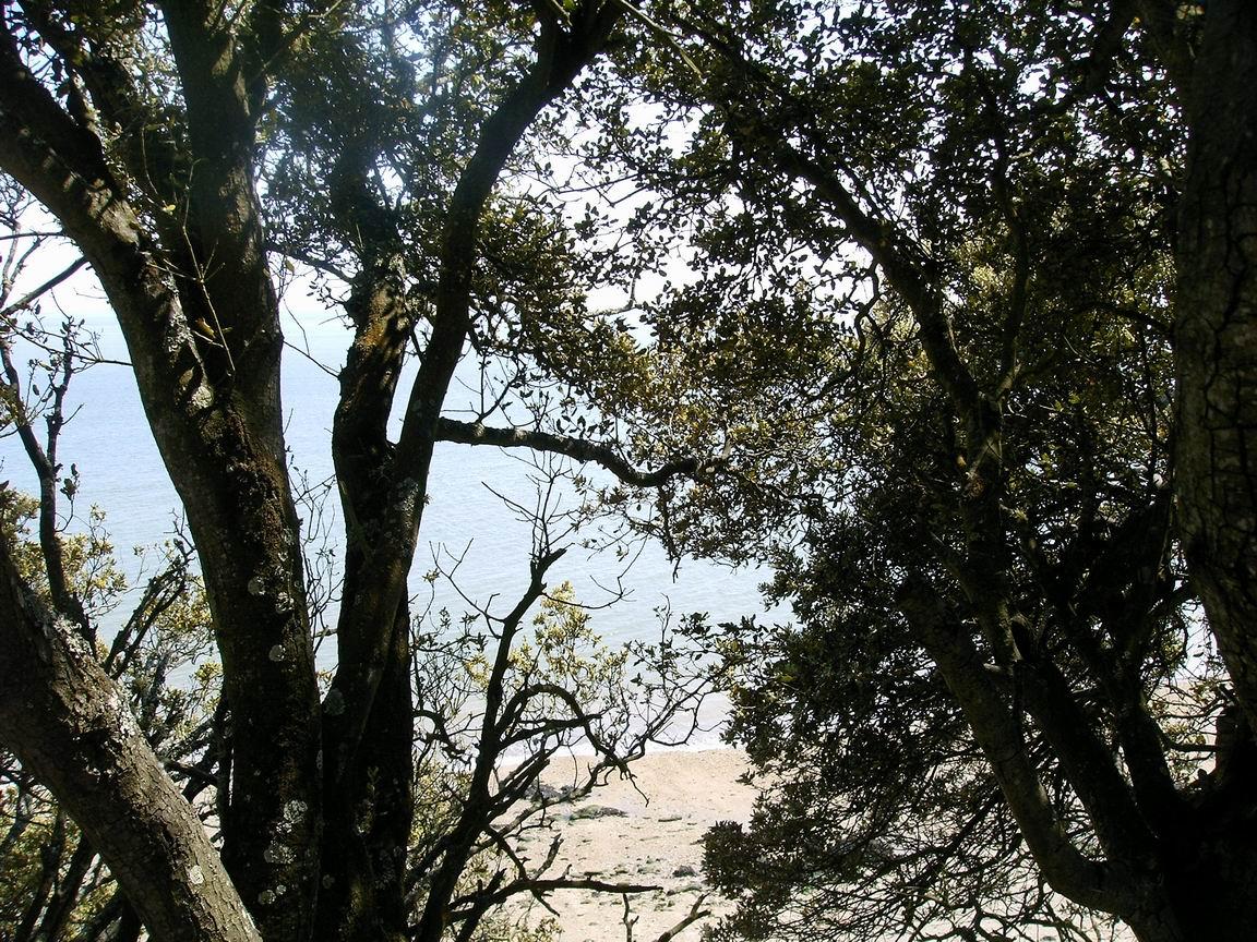 l'avance saline des souvenirs