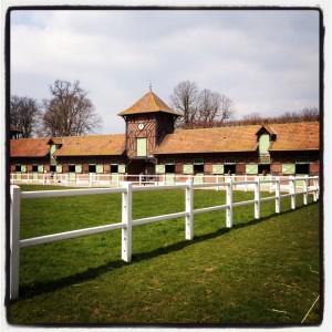 jardy2-300x300 équitation