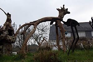 Belle Ile février (93) [1600x1200]