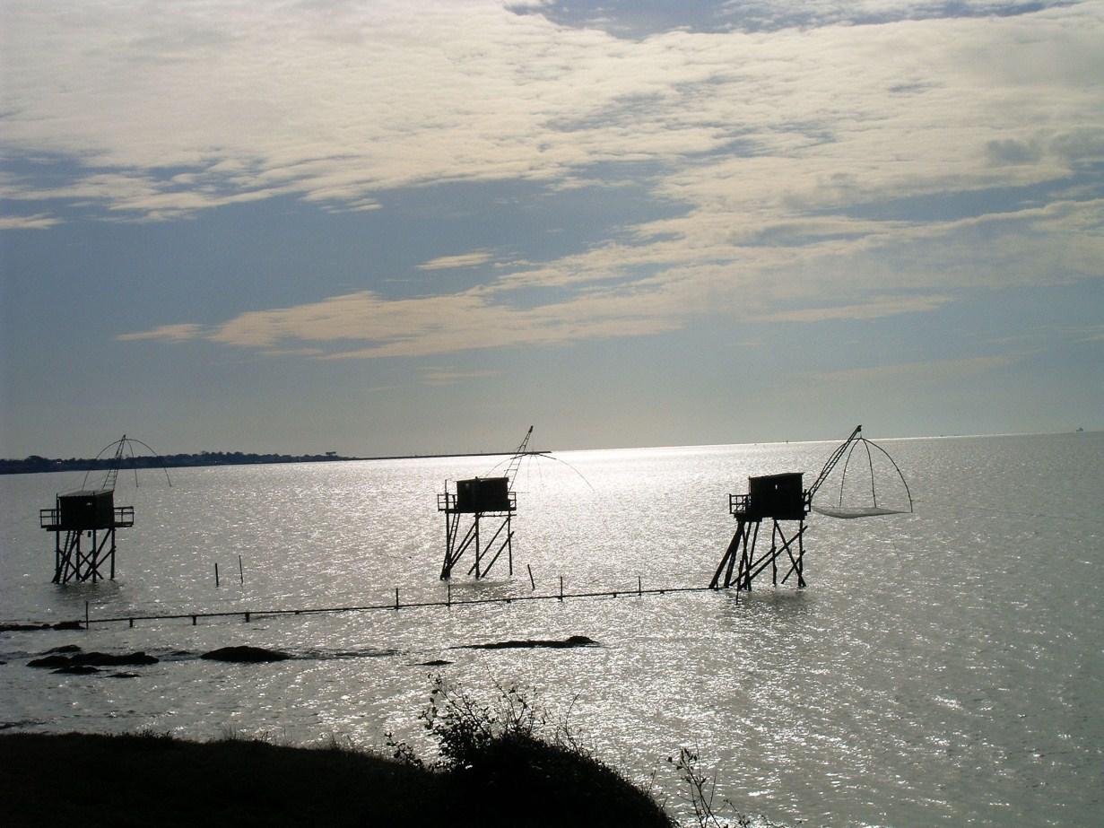 ma destinée mon cerf-volant