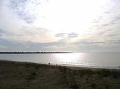 destinée cerf-volant