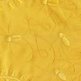 La Cape en Soie d’Araignée Cape Golden Orb 03