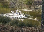 Quelques instants beauté dans monde brutes