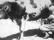 Photomontage, Avril attendu Photoshop