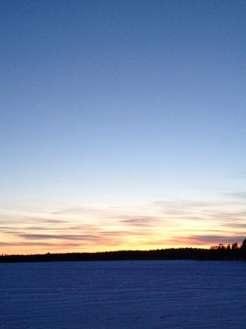 Le réveil du printemps, 2ème étape: au cœur de la taïga!
