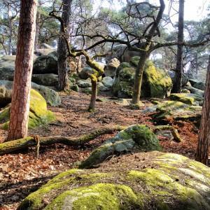 img_1286-300x300 escalade dans Les bonnes adresses