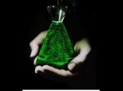 Alchimie Beth Fantaskey