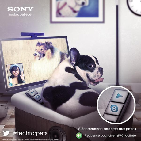 Les Meilleurs Poissons d’Avril 2013 Les Meilleurs Poissons d’Avril 2013