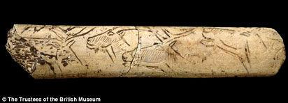 Trois rennes et un bouquetin - Portrait de trois rennes et d’un bouquetin, gravés sur une côte retrouvée dans la grotte Bourbet, en France.  La finesse du trait montre l’extrême habilité des hommes de l'Age de Glace.