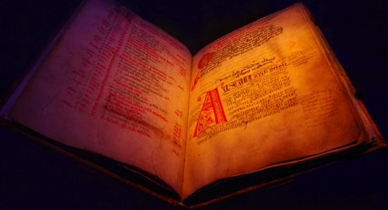 Consulter la reproduction de plus de 1000 manuscrits du Moyen Âge...