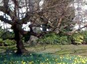 Promenade snobissime