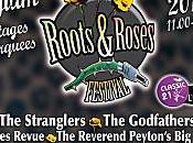 Communiqué presse Roots Roses Festival, Lessines