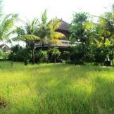  Se loger à Ubud : le White House Bali