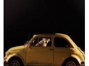 Martin Usborne Silence Dogs Cars