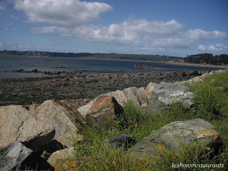 TRÉDEZ-LOCQUÉMEAU-La Pointe de Séhar