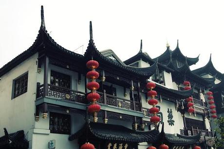 yu garden-shanghai-chine-vieille ville chinoise-fleurs-cerisiers-roses-jardin-zen