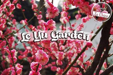 yu garden-shanghai-chine-vieille ville chinoise-fleurs-cerisiers-roses-jardin-zen