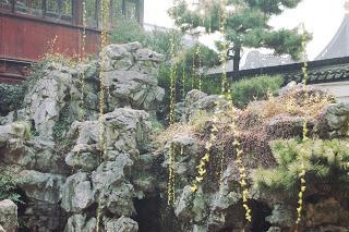 yu garden-shanghai-chine-vieille ville chinoise-fleurs-cerisiers-roses-jardin-zen