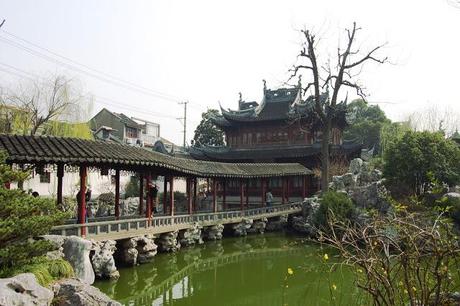 yu garden-shanghai-chine-vieille ville chinoise-fleurs-cerisiers-roses-jardin-zen
