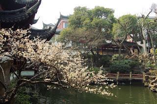 Carnet de voyage : le Yu Garden