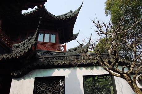 yu garden-shanghai-chine-vieille ville chinoise-fleurs-cerisiers-roses-jardin-zen