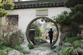 yu garden-shanghai-chine-vieille ville chinoise-fleurs-cerisiers-roses-jardin-zen