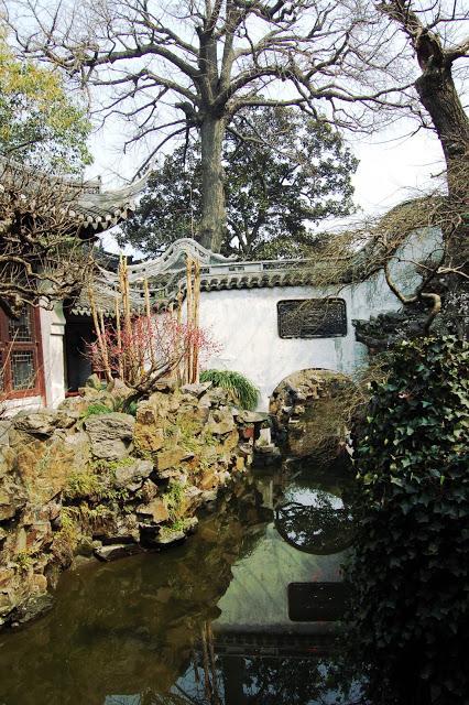yu garden-shanghai-chine-vieille ville chinoise-fleurs-cerisiers-roses-jardin-zen