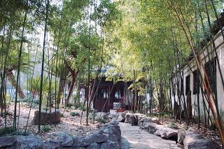 yu garden-shanghai-chine-vieille ville chinoise-fleurs-cerisiers-roses-jardin-zen