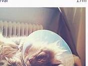 Microsoft poisson d’avril passe