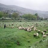 Galjaard-Concresco 01