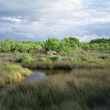 Galjaard-Concresco 17