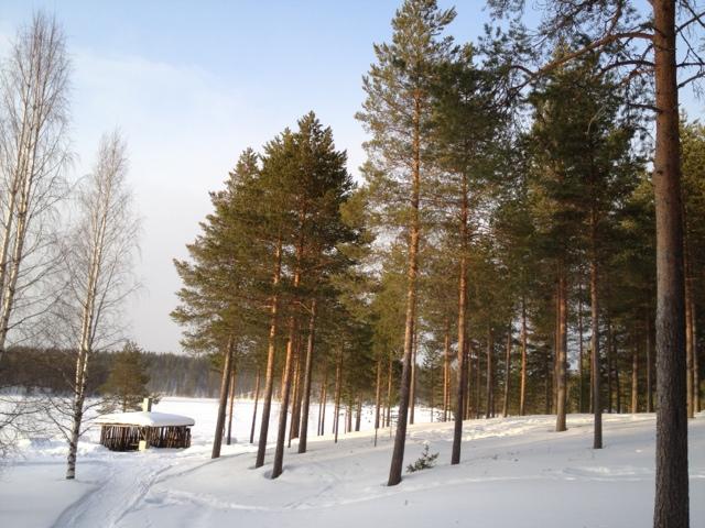 Le réveil du printemps, 3ème étape: sous le chaud soleil finnois!