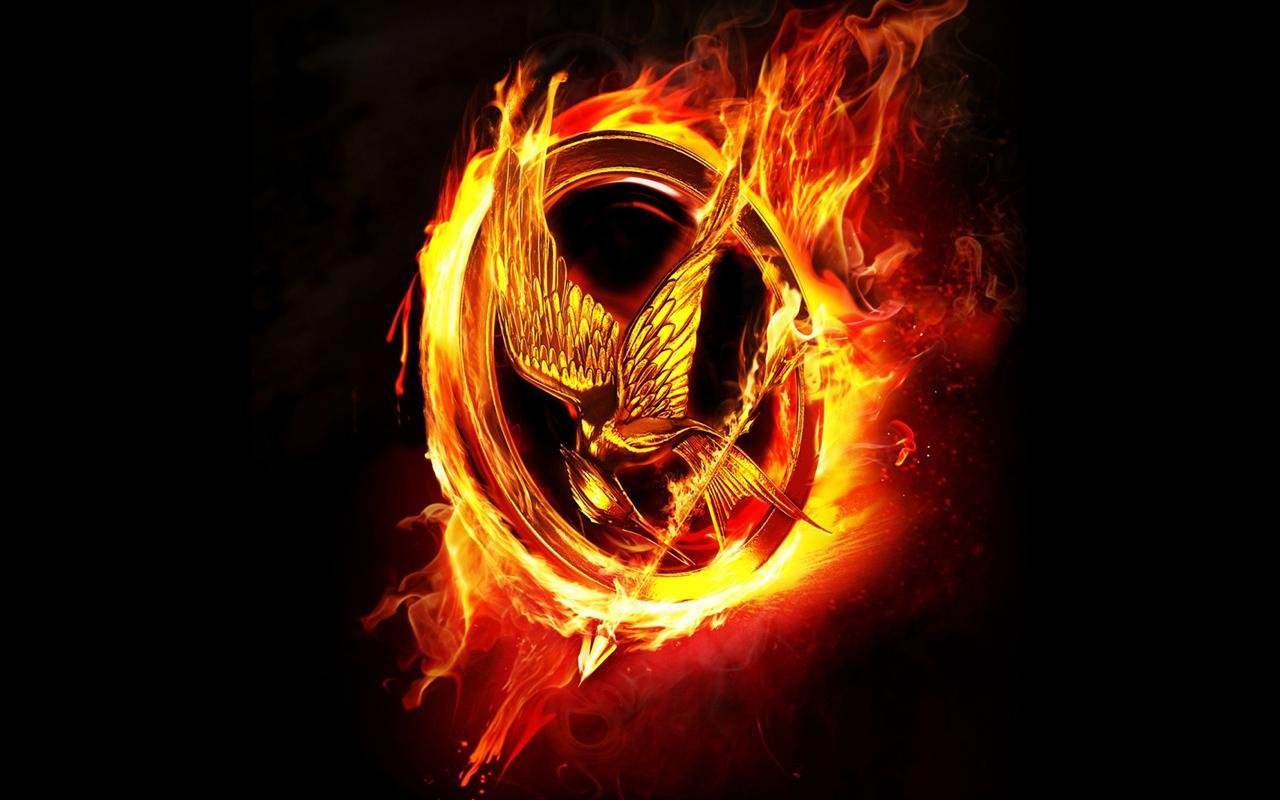 J'ai vu et lu... Hunger Games