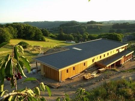 Le battement d’ailes