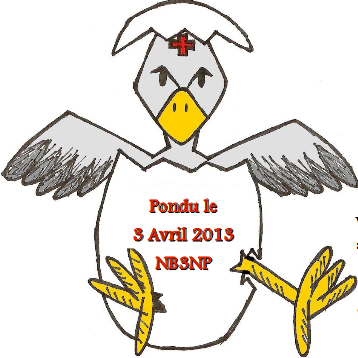 Lancement du site internet des Ni Bonnes Ni Nonnes Ni Pigeonnes – NB3NP