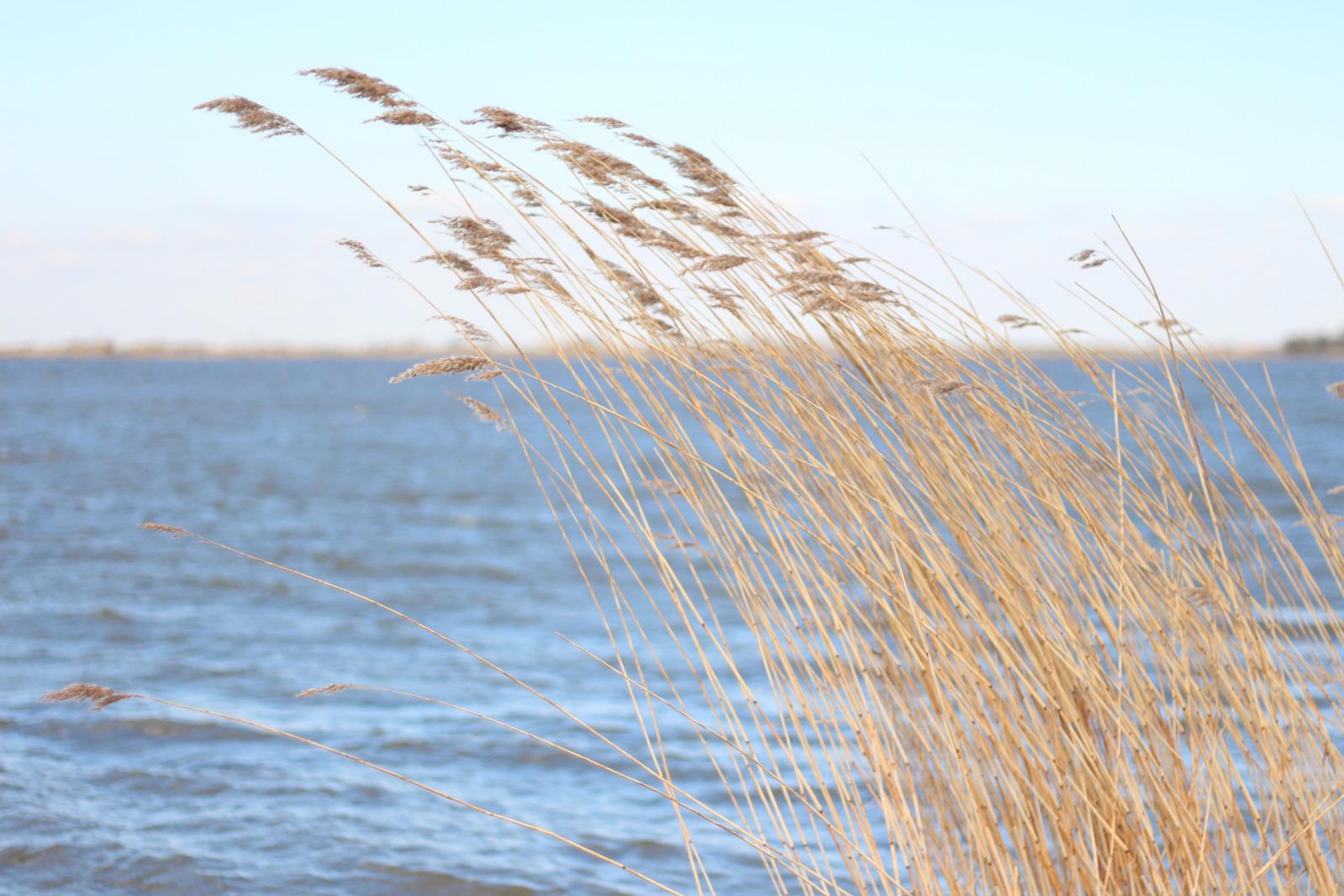 Image and video hosting by TinyPic