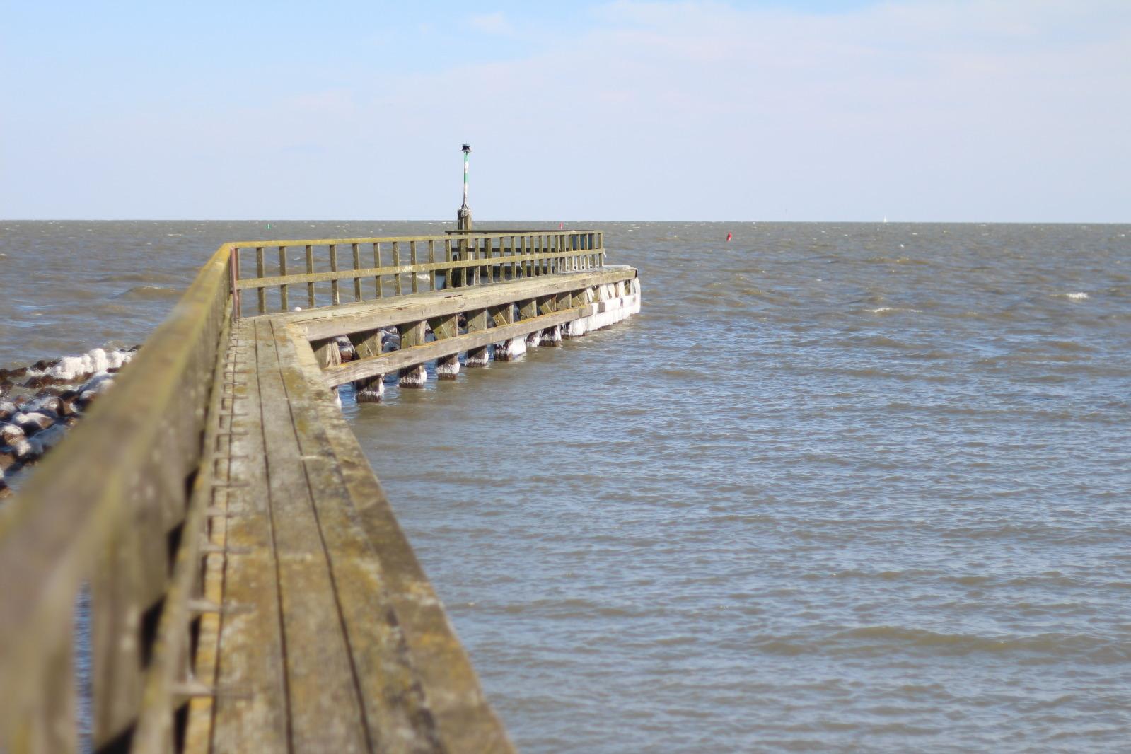 Image and video hosting by TinyPic