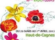 Symphonie florale Cagnes