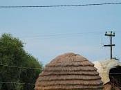 Zoos humains. temps exhibitions humaines