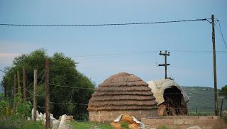 Zoos humains. Au temps des exhibitions humaines